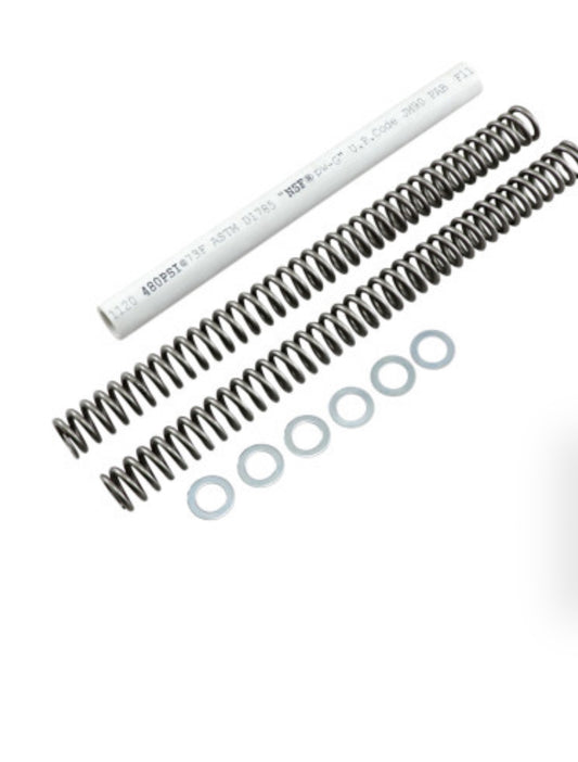 RACE TECH FRSP S2938095Fork Springs